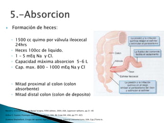  Formación de heces:
◦ 1500 cc quimo por válvula ileocecal
24hrs
◦ Heces 100cc de liquido.
◦ 1 – 5 mEq Na y Cl.
◦ Capacidad máxima absorcion 5-6 L
◦ Cap. max. 800 – 1000 mEq Na y Cl
◦ Mitad proximal al colon (colon
absorbente)
◦ Mitad distal colon (colon de deposito)
Marvin L. Croman, Colon an Rectal Surgery, Fifith edition, 2004, USA, Lippincorr williams, pp.31-40
Arthur C. Guyton, Fisiologia medica, 11va edicion, Edit. Mc Graw Hill, USA, pp.771-825
Zuidema Shackelford, Cirugia del apartao digestivo, 4ta eidicion, Editorial interamericana, USA, Cap.2Tomo Iv.
 