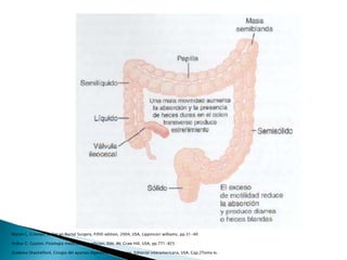 Marvin L. Croman, Colon an Rectal Surgery, Fifith edition, 2004, USA, Lippincorr williams, pp.31-40
Arthur C. Guyton, Fisiologia medica, 11va edicion, Edit. Mc Graw Hill, USA, pp.771-825
Zuidema Shackelford, Cirugia del apartao digestivo, 4ta eidicion, Editorial interamericana, USA, Cap.2Tomo Iv.
 