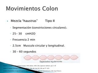  Mezcla “haustras” Tipo II
◦ Segmentación (constricciones circulares).
◦ 25- 30 cmH2O
◦ Frecuencia 2 min
◦ 2.5cm Musculo circular y longitudinal.
◦ 30 – 60 segundos
Marvin L. Croman, Colon an Rectal Surgery, Fifith edition, 2004, USA, Lippincorr williams, pp.31-40
Arthur C. Guyton, Fisiologia medica, 11va edicion, Edit. Mc Graw Hill, USA, pp.771-825
Zuidema Shackelford, Cirugia del apartao digestivo, 4ta eidicion, Editorial interamericana, USA, Cap.2Tomo Iv.
 