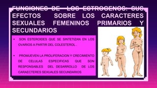 FUNCIONES DE LOS ESTROGENOS: SUS
EFECTOS SOBRE LOS CARACTERES
SEXUALES FEMENINOS PRIMARIOS Y
SECUNDARIOS
 SON ESTEROIDES QUE SE SINTETIZAN EN LOS
OVARIOS A PARTIR DEL COLESTEROL .
 PROMUEVEN LA PROLIFERACION Y CRECIMIENTO
DE CELULAS ESPECIFICAS QUE SON
RESPONSABLES DEL DESARROLLO DE LOS
CARAECTERES SEXUALES SECUNDARIOS
 