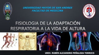 UNIVERSIDAD MAYOR DE SAN ANDRES
FACULTAD DE MEDICINA
UNIV. RUBÉN ALEJANDRO PEÑALOZA TORRICO
 