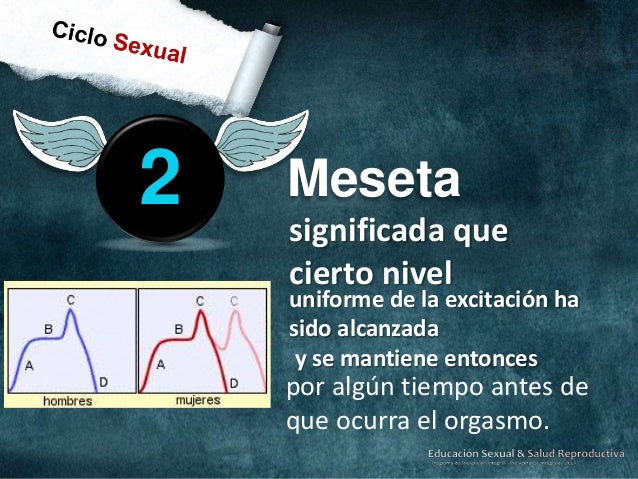 Como conseguir el aumento del miembro