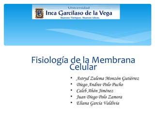 Fisiología de la Membrana Celular <ul><li>Astryd Zulema Monzón Gutiérrez </li></ul><ul><li>Diego Andree Polo Pucho </li></...