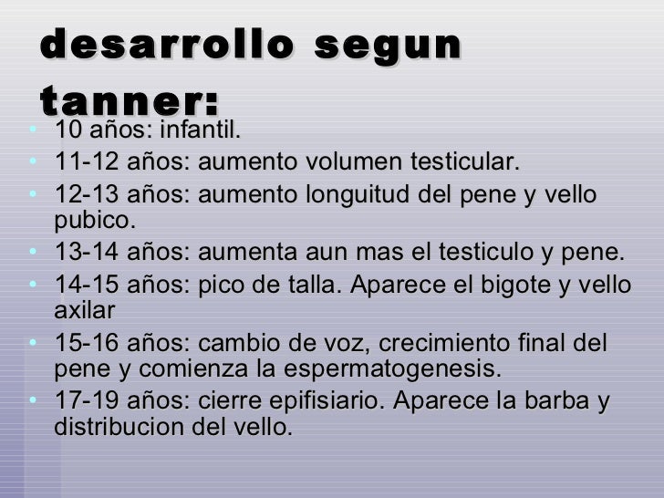 A las pequeñas muchachas les muestran los miembros porno