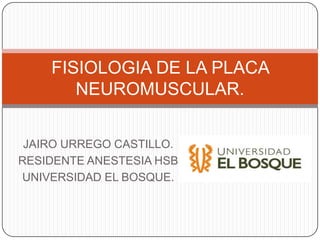 FISIOLOGIA DE LA PLACA
       NEUROMUSCULAR.

 JAIRO URREGO CASTILLO.
RESIDENTE ANESTESIA HSB
UNIVERSIDAD EL BOSQUE.
 