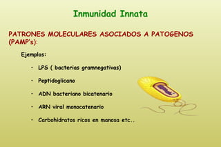 Inmunidad Innata PATRONES MOLECULARES ASOCIADOS A PATOGENOS (PAMP’s ): <ul><li>Ejemplos: </li></ul><ul><ul><li>LPS ( bacte...