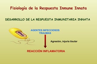 Fisiología de la Respuesta Inmune Innata DESARROLLO DE LA RESPUESTA INMUNITARIA INNATA Agresión, injuria tisular AGENTES I...