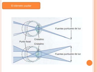 El diámetro pupilar
 