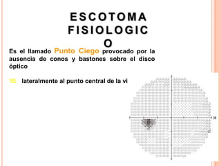 ESCOTOMA
                    FISIOLOGIC
                         O
Es el llamado Punto Ciego provocado por la
ausencia de conos y bastones sobre el disco
óptico

15 lateralmente al punto central de la visión
 