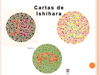 Cartas de
Ishihara
 