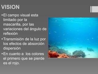 VISION
El campo visual esta
limitado por la
mascarilla, por las
variaciones del ángulo de
reflexión
Transmisión de la luz por
los efectos de absorción
dispersión
En cuanto a los colores
el primero que se pierde
es el rojo.
 