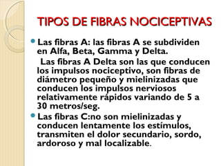 TTIIPPOOSS DDEE FFIIBBRRAASS NNOOCCIICCEEPPTTIIVVAASS 
Las fibras A: las fibras A se subdividen 
en Alfa, Beta, Gamma y Delta. 
Las fibras A Delta son las que conducen 
los impulsos nociceptivo, son fibras de 
diámetro pequeño y mielinizadas que 
conducen los impulsos nerviosos 
relativamente rápidos variando de 5 a 
30 metros/seg. 
Las fibras C:no son mielinizadas y 
conducen lentamente los estímulos, 
transmiten el dolor secundario, sordo, 
ardoroso y mal localizable. 
 
