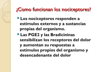 ¿CCoommoo ffuunncciioonnaann llooss nnoocciicceeppttoorreess?? 
Los nociceptores responden a 
estímulos externos y a sustancias 
propias del organismo. 
Las PGE2 y las Bradicininas 
sensibilizan los receptores del dolor 
y aumentan su respuestas a 
estímulos propios del organismo y 
desencadenante del dolor 
 