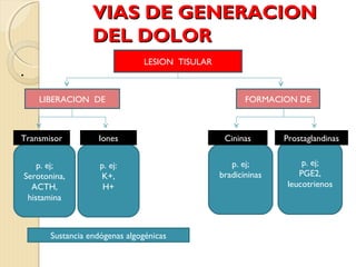 VVIIAASS DDEE GGEENNEERRAACCIIOONN 
DDEELL DDOOLLOORR 
. LESION TISULAR 
LIBERACION DE FORMACION DE 
Transmisor Iones Cininas Prostaglandinas 
p. ej; 
Serotonina, 
ACTH, 
histamina 
p. ej: 
K+, 
H+ 
p. ej; 
bradicininas 
p. ej; 
PGE2, 
leucotrienos 
Sustancia endógenas algogénicas 
 