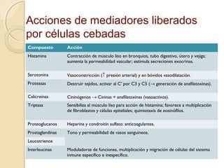 Acciones de mediadores liberados 
por células cebadas 
Compuesto Acción 
Histamina Contracción de músculo liso en bronquios, tubo digestivo, útero y vejiga; 
aumenta la permeabilidad vascular; estimula secreciones exocrinas. 
Serotonina Vasoconstricción (­ presión arterial) y en bóvidos vasodilatación. 
Proteasas Destruir tejidos, activar al C’ por C3 y C5 (® generación de anafilatoxinas). 
Calicreínas Cininógenos ® Cininas = anafilatoxinas (vasoactivos). 
Triptasa Sensibiliza al músculo liso para acción de histamina; favorece a multiplicación 
de fibroblastos y células epiteliales; quimiotaxis de eosinófilos. 
Proteoglucanos Heparina y condroitín sulfato: anticoagulantes. 
Prostaglandinas Tono y permeabilidad de vasos sanguíneos. 
Leucotrienos 
Interleucinas Moduladoras de funciones, multiplicación y migración de células del sistema 
inmune específico e inespecífico. 
 