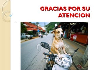 GGRRAACCIIAASS PPOORR SSUU 
AATTEENNCCIIOONN 
. 
