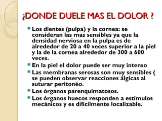 ¿DDOONNDDEE DDUUEELLEE MMAASS EELL DDOOLLOORR ?? 
Los dientes (pulpa) y la cornea: se 
consideran las mas sensibles ya que la 
densidad nerviosa en la pulpa es de 
alrededor de 20 a 40 veces superior a la piel 
y la de la cornea alrededor de 300 a 600 
veces. 
En la piel el dolor puede ser muy intenso 
Las membranas serosas son muy sensibles ( 
se pueden observar reacciones álgicas al 
suturar peritonéo. 
Los órganos parenquimatosos. 
Los órganos huecos responden a estímulos 
mecánicos y es difícilmente localizable. 
 