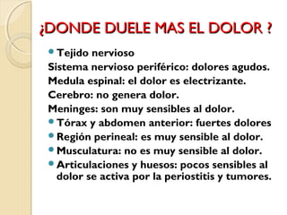 ¿DDOONNDDEE DDUUEELLEE MMAASS EELL DDOOLLOORR ?? 
Tejido nervioso 
Sistema nervioso periférico: dolores agudos. 
Medula espinal: el dolor es electrizante. 
Cerebro: no genera dolor. 
Meninges: son muy sensibles al dolor. 
Tórax y abdomen anterior: fuertes dolores 
Región perineal: es muy sensible al dolor. 
Musculatura: no es muy sensible al dolor. 
Articulaciones y huesos: pocos sensibles al 
dolor se activa por la periostitis y tumores. 
 