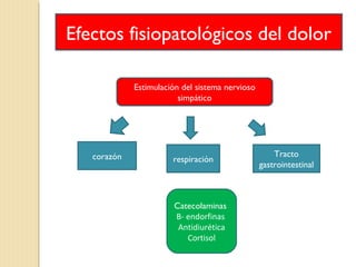 Efectos fisiopatológicos del dolor 
Estimulación del sistema nervioso 
simpático 
corazón respiración 
Tracto 
gastrointestinal 
Catecolaminas 
Β- endorfinas 
Antidiurética 
Cortisol 
 