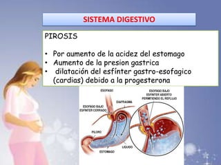 SISTEMA DIGESTIVO
PIROSIS
• Por aumento de la acidez del estomago
• Aumento de la presion gastrica
• dilatación del esfínter gastro-esofagico
(cardias) debido a la progesterona
 
