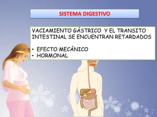 SISTEMA DIGESTIVO
VACIAMIENTO GÁSTRICO Y EL TRANSITO
INTESTINAL SE ENCUENTRAN RETARDADOS
• EFECTO MECÁNICO
• HORMONAL
 