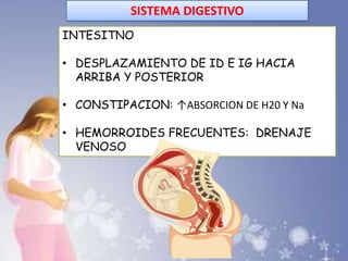 SISTEMA DIGESTIVO
INTESITNO
• DESPLAZAMIENTO DE ID E IG HACIA
ARRIBA Y POSTERIOR
• CONSTIPACION: ↑ABSORCION DE H20 Y Na
• HEMORROIDES FRECUENTES: DRENAJE
VENOSO
 