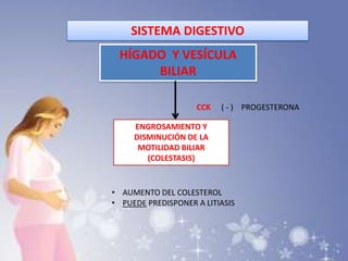 SISTEMA DIGESTIVO
HÍGADO Y VESÍCULA
BILIAR
ENGROSAMIENTO Y
DISMINUCIÓN DE LA
MOTILIDAD BILIAR
(COLESTASIS)
CCK ( - ) PROGESTERONA
• AUMENTO DEL COLESTEROL
• PUEDE PREDISPONER A LITIASIS
 