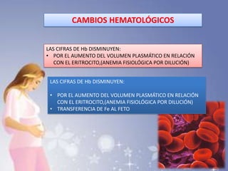 CAMBIOS HEMATOLÓGICOS
LAS CIFRAS DE Hb DISMINUYEN:
• POR EL AUMENTO DEL VOLUMEN PLASMÁTICO EN RELACIÓN
CON EL ERITROCITO,(ANEMIA FISIOLÓGICA POR DILUCIÓN)
LAS CIFRAS DE Hb DISMINUYEN:
• POR EL AUMENTO DEL VOLUMEN PLASMÁTICO EN RELACIÓN
CON EL ERITROCITO,(ANEMIA FISIOLÓGICA POR DILUCIÓN)
• TRANSFERENCIA DE Fe AL FETO
 