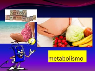 metabolismo
 