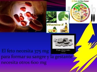 El feto necesita 375 mg
para formar su sangre y la gestante
necesita otros 600 mg
 