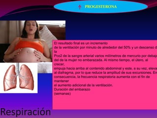 Respiración
El resultado final es un incremento
de la ventilación por minuto de alrededor del 50% y un descenso de
la
Pco2 de la sangre arterial varios milímetros de mercurio por debajo
del de la mujer no embarazada. Al mismo tiempo, el útero, al
crecer,
empuja hacia arriba al contenido abdominal y este, a su vez, eleva
al diafragma, por lo que reduce la amplitud de sus excursiones. En
consecuencia, la frecuencia respiratoria aumenta con el fin de
mantener
el aumento adicional de la ventilación.
Duración del embarazo
(semanas)
PROGESTERONA
 