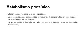 Metabolismo proteínico
• Útero y sangre materna  ricos en proteína.
• La concentración de aminoácidos es mayor en la sangre fetal, proceso regulado
exclusivamente por la placenta.
• No es necesaria la degradación del musculo materno para cubrir las demandas
metabólicas.

 