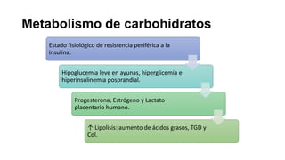 Metabolismo de carbohidratos
Estado fisiológico de resistencia periférica a la
insulina.
Hipoglucemia leve en ayunas, hiperglicemia e
hiperinsulinemia posprandial.

Progesterona, Estrógeno y Lactato
placentario humano.
↑ Lipolisis: aumento de ácidos grasos, TGD y
Col.

 