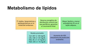 Metabolismo de lípidos
↑ Lípidos, lipoproteínas y
apolipoproteinas en la
mitad del embarazo.

Reserva energética de
distribución central mas
que periférica, garantiza
el crecimiento fetal.

Mayor lipolisis y menor
actividad de LPL en el
tejido adiposo.

Niveles promedio:
Col: 267 +/- 30 mg/dl,
LDL: 136 +/- 33 mg/dl,
HDL: 81 +/- 17 mg/dl y
TGD: 245 +/- 73 mg/dl.

Aumento de HDL
mecanismo de protección
endotelial.

 