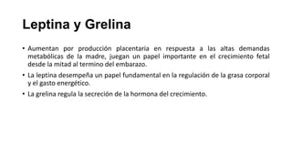 Leptina y Grelina
• Aumentan por producción placentaria en respuesta a las altas demandas
metabólicas de la madre, juegan un papel importante en el crecimiento fetal
desde la mitad al termino del embarazo.

• La leptina desempeña un papel fundamental en la regulación de la grasa corporal
y el gasto energético.
• La grelina regula la secreción de la hormona del crecimiento.

 