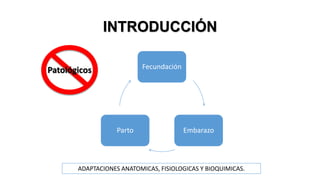 INTRODUCCIÓN
Fecundación

Patológicos

Parto

Embarazo

ADAPTACIONES ANATOMICAS, FISIOLOGICAS Y BIOQUIMICAS.

 