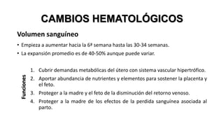 CAMBIOS HEMATOLÓGICOS
Volumen sanguíneo

Funciones

• Empieza a aumentar hacia la 6ª semana hasta las 30-34 semanas.
• La expansión promedio es de 40-50% aunque puede variar.
1. Cubrir demandas metabólicas del útero con sistema vascular hipertrófico.
2. Aportar abundancia de nutrientes y elementos para sostener la placenta y
el feto.
3. Proteger a la madre y el feto de la disminución del retorno venoso.
4. Proteger a la madre de los efectos de la perdida sanguínea asociada al
parto.

 