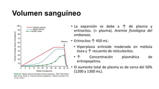 Volumen sanguíneo
• La expansión se debe a ↑ de plasma y
eritrocitos. (> plasma). Anemia fisiológica del
embarazo.

• Eritrocitos ↑ 450 mL:
• Hiperplasia eritroide moderada en médula
ósea y ↑ recuento de reticulocitos.
• ↑
Concentración
plasmática
de
eritropoyetina.
• El aumento total de plasma es de cerca del 50%
(1200 a 1300 mL).

 