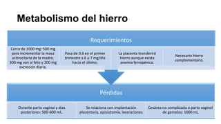 Metabolismo del hierro
Requerimientos
Cerca de 1000 mg: 500 mg
para incrementar la masa
eritrocitaria de la madre,
300 mg van al feto y 200 mg
excreción diaria.

Pasa de 0.8 en el primer
trimestre a 6 a 7 mg/día
hacia el último.

La placenta transferirá
hierro aunque exista
anemia ferropénica.

Necesario hierro
complementario.

Pérdidas
Durante parto vaginal y días
posteriores: 500-600 mL.

Se relaciona con implantación
placentaria, episiotomía, laceraciones

Cesárea no complicada o parto vaginal
de gemelos: 1000 mL

 