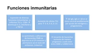 Funciones inmunitarias
Supresión de diversas
funciones inmunitarias: ↓
Linfocitos Th1 y CD8+ 
disminuye IL-2, interferón γ
y TNF-β.

Aumento de células Th2
para ↑ IL-4, IL-6, IL-13.

La quimiotaxis y adherencia
de leucocitos PMN se
deprime en el 2º trimestre y
permanece así el resto del
embarazo. (relaxina).

↑ de IgA, IgG e I-1β en el
moco cervical posiblemente
por acción de estrógeno y
progesterona.

El recuento de leucocitos
aumenta de manera
progresiva y suele estar
entre 5000 y 12000/mm3.

 