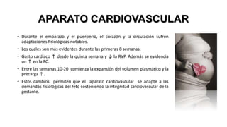 APARATO CARDIOVASCULAR
• Durante el embarazo y el puerperio, el corazón y la circulación sufren
adaptaciones fisiológicas notables.
• Los cuales son más evidentes durante las primeras 8 semanas.
• Gasto cardíaco ↑ desde la quinta semana y ↓ la RVP. Además se evidencia
un ↑ en la FC.
• Entre las semanas 10-20 comienza la expansión del volumen plasmático y la
precarga ↑.
• Estos cambios permiten que el aparato cardiovascular se adapte a las
demandas fisiológicas del feto sosteniendo la integridad cardiovascular de la
gestante.

 