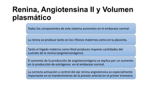 Renina, Angiotensina II y Volumen
plasmático
Todos los componentes de este sistema aumentan en el embarazo normal
La renina se produce tanto en los riñones maternos como en la placenta.
Tanto el hígado materno como fetal produces mayores cantidades del
sustrato de la renina (angiotensinógeno)
El aumento de la producción de angiotensinógeno se explica por un aumento
en la producción de estrógenos en el embarazo normal.
La correcta activación y control del eje renina angiotensina es especialmente
importante en el mantenimiento de la presión arterial en el primer trimestre.

 