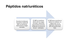 Péptidos natriuréticos

Durante el embarazo
normal los niveles de
ANP se mantienen
dentro de los rangos
normales.

EL BNP se mantiene
dentro de los rangos
normales, solamente
experimenta aumentos
evidentes en presencia
de pre – eclampsia.

El CNP que se secreta en
tejidos no cardiacos se
sugiere que es un
regulador importante
del crecimiento óseo
fetal.

 