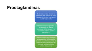 Prostaglandinas
Su función central durante la
gestación es el control del tono
vascular, la presión arterial y el
equilibrio del sodio.

La Síntesis de prostaglandina E
se aumenta en etapas
avanzadas del embarazo y se
supone que tiene acción
natriurética.
La Prostaciclina PGL2 principal
prostaglandina del endotelio
también se aumenta durante el
embarazo avanzado en aras de
controlar la PA e incluso la
función plaquetaria.

 