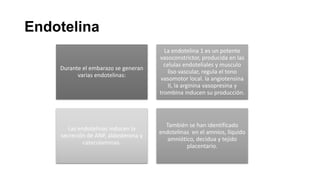Endotelina
Durante el embarazo se generan
varias endotelinas:

La endotelina 1 es un potente
vasoconstrictor, producida en las
celulas endoteliales y musculo
liso vascular, regula el tono
vasomotor local. la angiotensina
II, la arginina vasopresina y
trombina inducen su producción.

Las endotelinas inducen la
secreción de ANP, aldosterona y
catecolaminas.

También se han identificado
endotelinas en el amnios, líquido
amniótico, decidua y tejido
placentario.

 