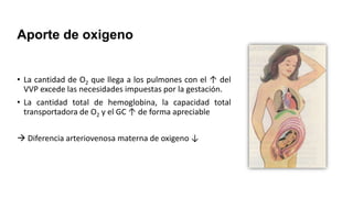 Aporte de oxigeno
• La cantidad de O2 que llega a los pulmones con el ↑ del
VVP excede las necesidades impuestas por la gestación.
• La cantidad total de hemoglobina, la capacidad total
transportadora de O2 y el GC ↑ de forma apreciable
 Diferencia arteriovenosa materna de oxigeno ↓

 