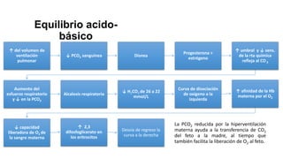 Equilibrio acidobásico
↑ del volumen de
ventilación
pulmonar

↓ PCO2 sanguínea

Disnea

Progesterona >
estrógeno

Aumento del
esfuerzo respiratorio
y ↓ en la PCO2

Alcalosis respiratoria

↓ H2CO3 de 26 a 22
mmol/L

Curva de disociación
de oxigeno a la
izquierda

↓ capacidad
liberadora de O2 de
la sangre materna

↑ 2,3
difosfoglicerato en
los eritrocitos

Desvía de regreso la
curva a la derecha

↑ umbral y ↓ sens.
de la rta química
refleja al CO 2

↑ afinidad de la Hb
materna por el O2

La PCO2 reducida por la hiperventilación
materna ayuda a la transferencia de CO2
del feto a la madre, al tiempo que
también facilita la liberación de O2 al feto.

 