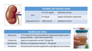 Pruebas de función renal
0.7 a 0.5 mg/dL
CrSr
Depuración de Cr

Gestación normal

0.9 mg/dL

Sugiere nefropatía subyacente

>30% normal

Gestación normal

Análisis de orina
Glucosuria

↑ FG, deterioro de la capacidad de reabsorción tubular para la
glucosa filtrada … alerta ante posible DM

Proteinuria

Ligera en la gestación normal: 115mg/24h

Albuminuria

Mínima en la gestación normal: 5 - 30 mg/día

Hematuria

Contaminación durante la gestación, patología de vías urinarias

 