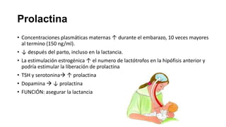Prolactina
• Concentraciones plasmáticas maternas ↑ durante el embarazo, 10 veces mayores
al termino (150 ng/ml).
• ↓ después del parto, incluso en la lactancia.
• La estimulación estrogénica ↑ el numero de lactótrofos en la hipófisis anterior y
podría estimular la liberación de prolactina
• TSH y serotonina ↑ prolactina
• Dopamina  ↓ prolactina
• FUNCIÓN: asegurar la lactancia

 
