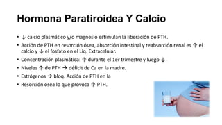 Hormona Paratiroidea Y Calcio
• ↓ calcio plasmático y/o magnesio estimulan la liberación de PTH.
• Acción de PTH en resorción ósea, absorción intestinal y reabsorción renal es ↑ el
calcio y ↓ el fosfato en el Liq. Extracelular.
• Concentración plasmática: ↑ durante el 1er trimestre y luego ↓.
• Niveles ↑ de PTH  déficit de Ca en la madre.
• Estrógenos  bloq. Acción de PTH en la
• Resorción ósea lo que provoca ↑ PTH.

 